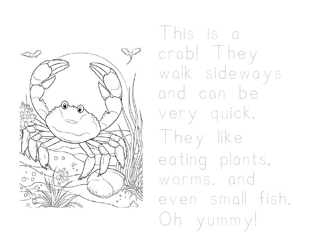 Activity Page 3
