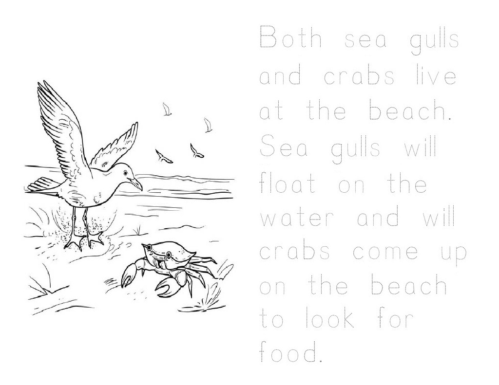 Activity Page 7
